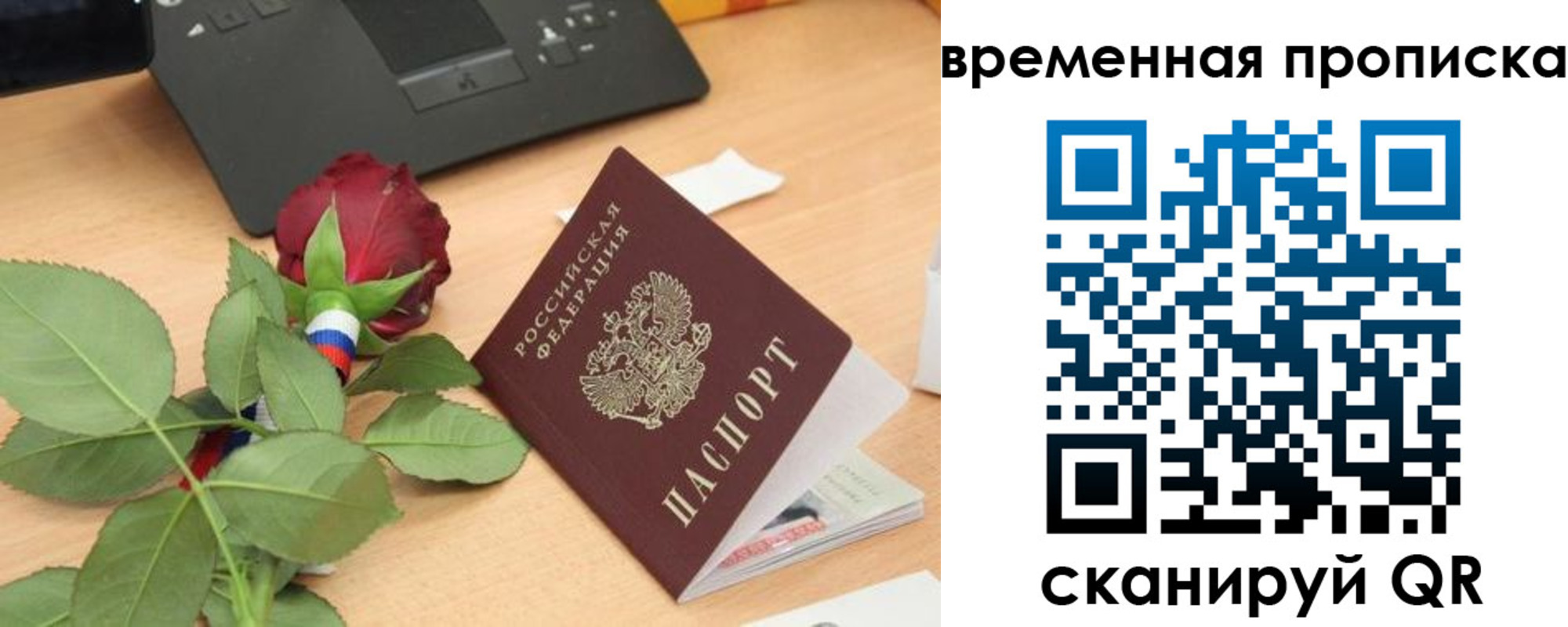 временная регистрация поиск в Волхове